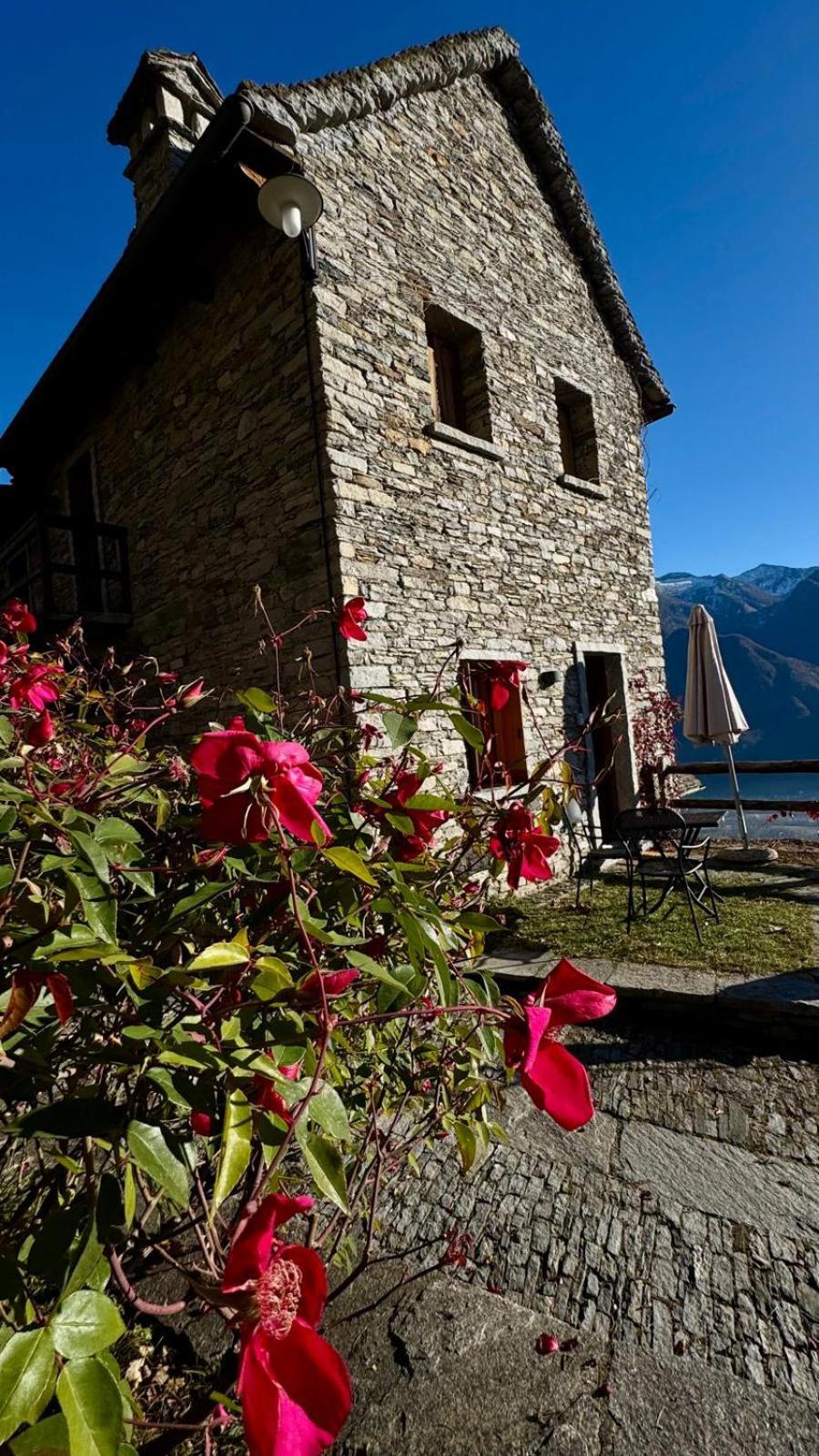 Agriturismo La Tensa Country house *