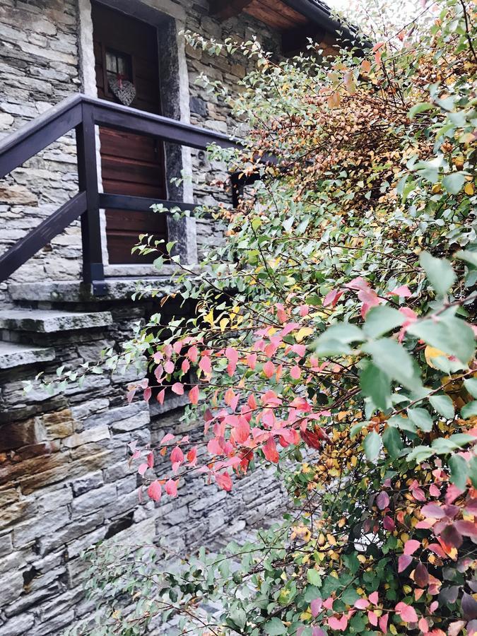 Country house Agriturismo La Tensa Domodossola